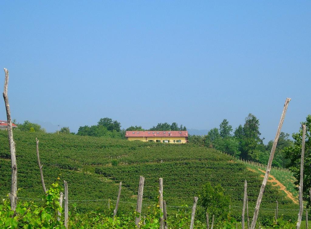 Agriturismo Turina Bricherasio ภายนอก รูปภาพ