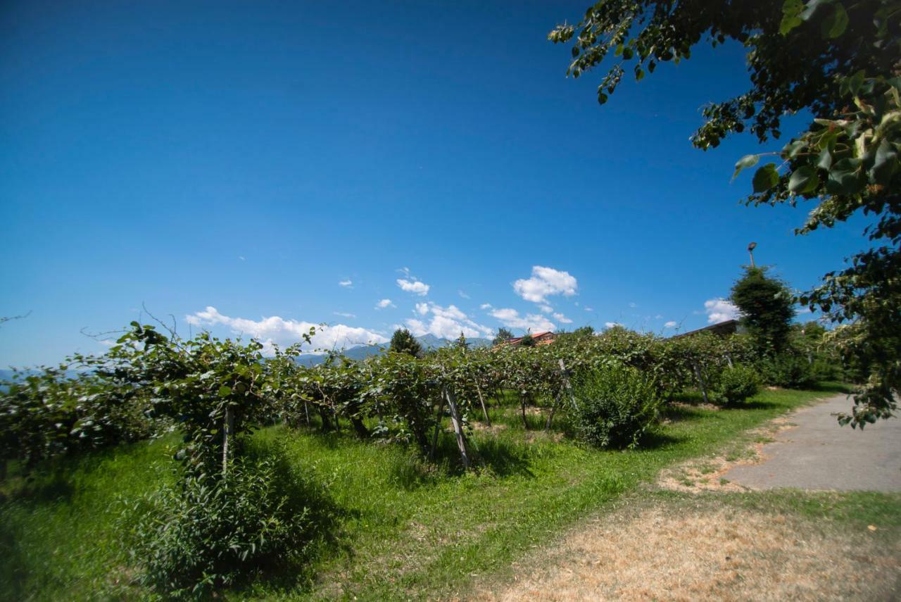 Agriturismo Turina Bricherasio ภายนอก รูปภาพ